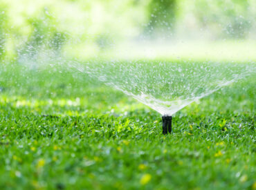 Automatic,Garden,Lawn,Sprinkler,In,Action,Watering,Grass.